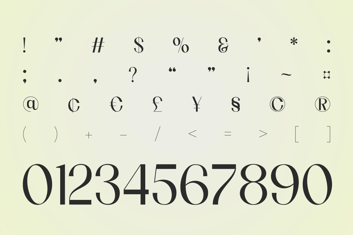 Elnara Luxury Editorial Serif Font, a Serif Font by Rasio Studio (Photo 3 of 9)