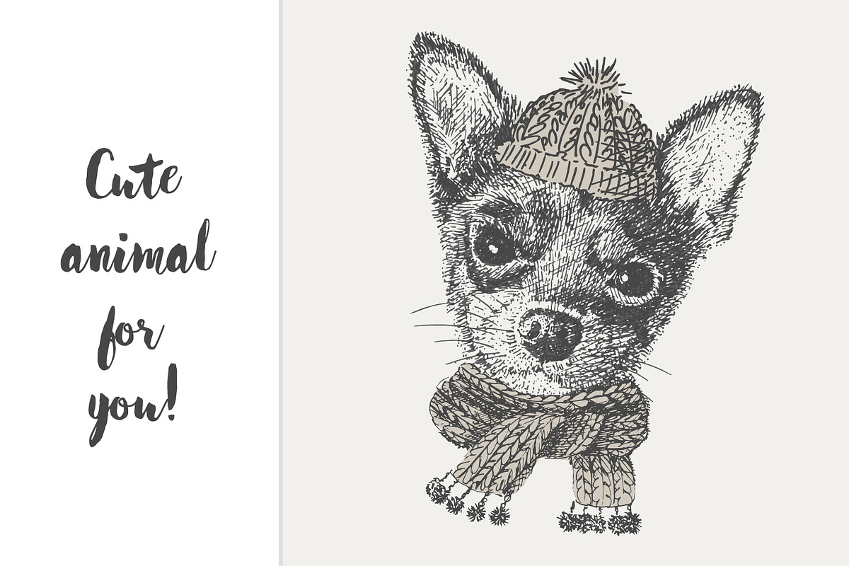 dog in a knitted cap and scarf, an Object Graphic by Danya