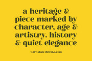Broftin Resort Bold Serif Display, a Serif Font by timelesstype.co (Thumbnail 4 of 20)