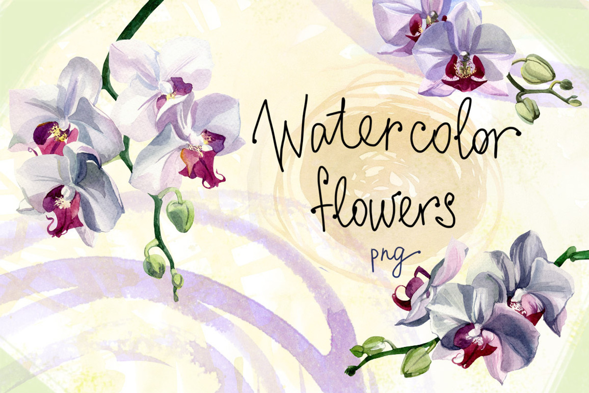 Watercolor flowers set - orchids, an Illustration by My art shop (Photo 1 of 3)