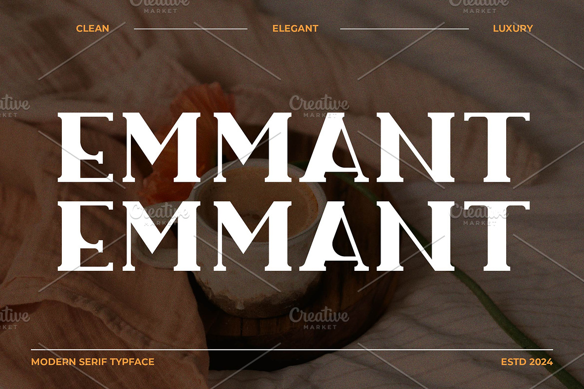 Emmant Stylish Serif Font, a Serif Font by Artiveko (Photo 1 of 7)