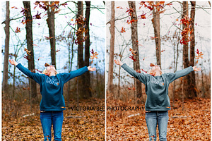 30 MOODY AUTUMN PRESETS