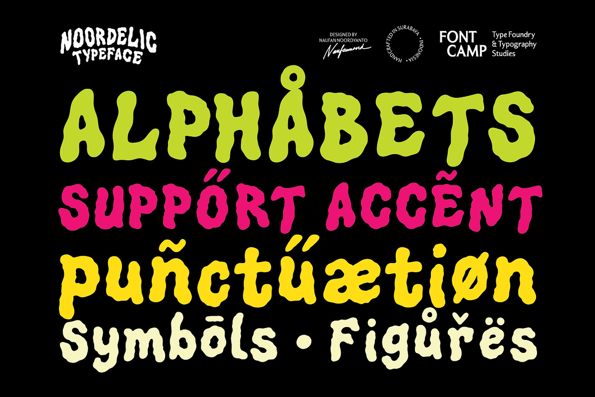 Noordelic Font, a Symbol Font by Fontcamp Type Foundry (Photo 7 of 14)