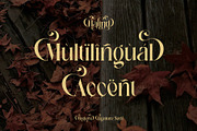 Halind Modern Elegant Serif, a Serif Font by Alfinart (Thumbnail 10 of 10)