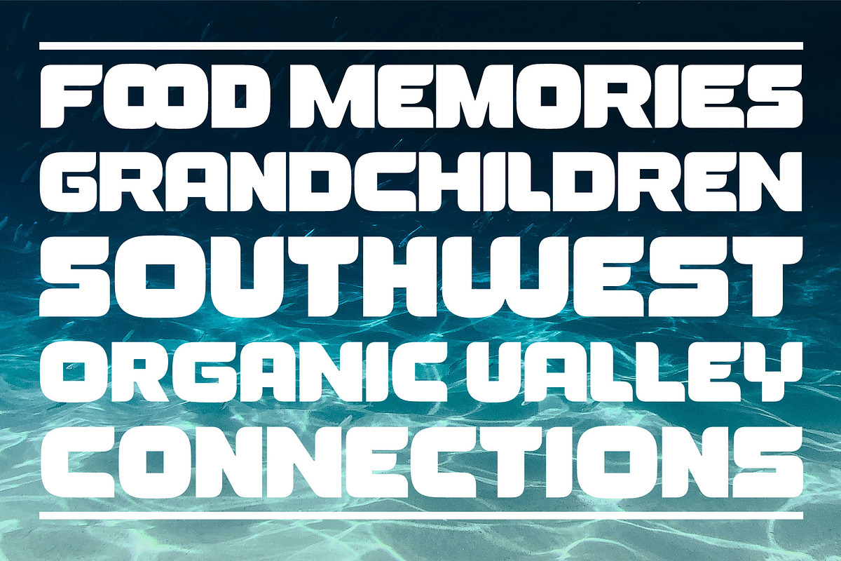 YNF Gross | Display font 2 styles, a Sans Serif Font by YNF (Photo 3 of 34)