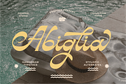 Abiglia, a Script Font by zeenesia (Thumbnail 15 of 17)