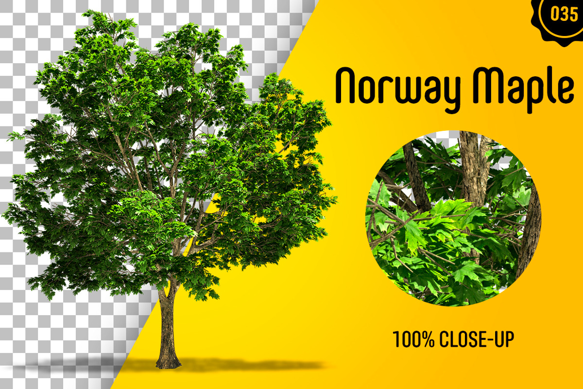 CUT OUT TREES - 60 PCS BUNDLE, a Packaging Mockup by 3DSTORE (Photo 36 of 63)