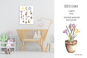 Watercolor Plant Life Cycle, an Education Illustration by MayaNavits (Thumbnail 4 of 10)