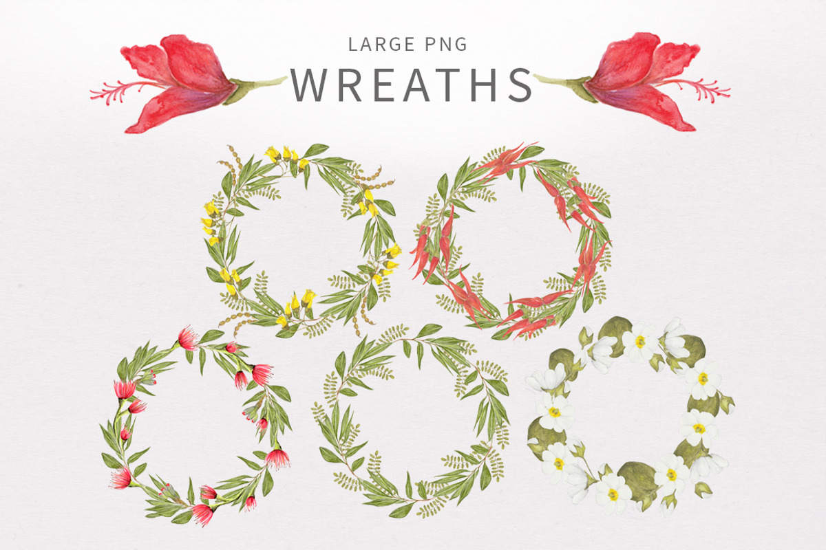 Florals - Inspired by New Zealand, an Illustration by Ingrid Marais Design (Photo 5 of 5)
