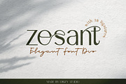 Zesant, a Sans Serif Font by Drizy (Thumbnail 1 of 11)
