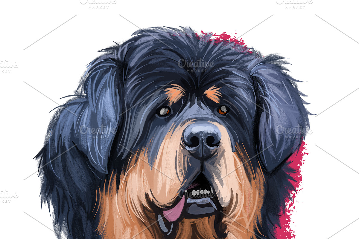Mastiffs and Pugs 34 PSD Dogs Set, an Animal Illustration by Dneprstock (Photo 8 of 15)
