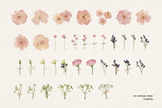 231 Vintage Dried Flowers, an Object Graphic by Ksuview (Thumbnail 3 of 8)