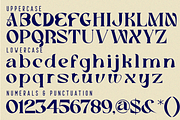 Between Aesthetic Font, a Serif Font by 177Studio (Thumbnail 8 of 8)