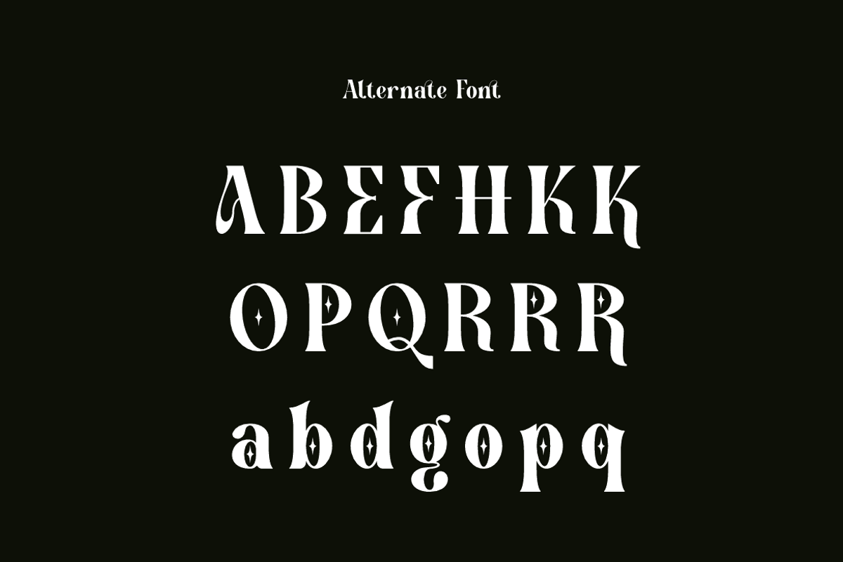 Arkity Qillgar Feminine Elegant Font, a Serif Font by Iqsiart Studio (Photo 11 of 13)