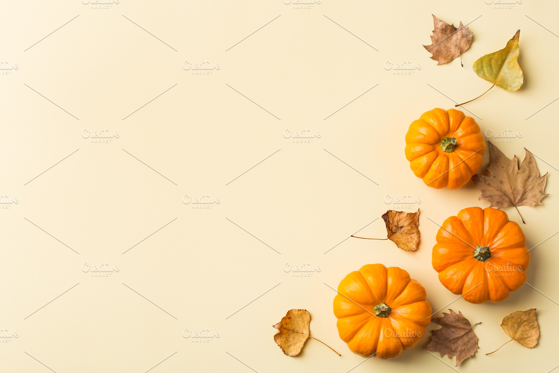 Autumn fall thanksgiving day composi stock photo containing pumpkin and, a Nature Photo by Antonina Vlasova