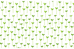 Agricultural seedlings field, a Texture Graphic by Ilia Design