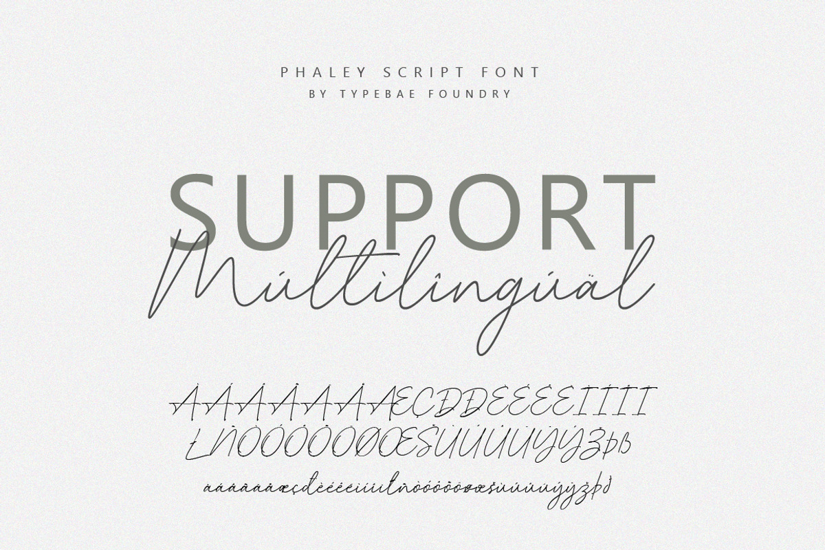 Phaley Signature Script Font, a Script Font by Typebae (Photo 8 of 8)