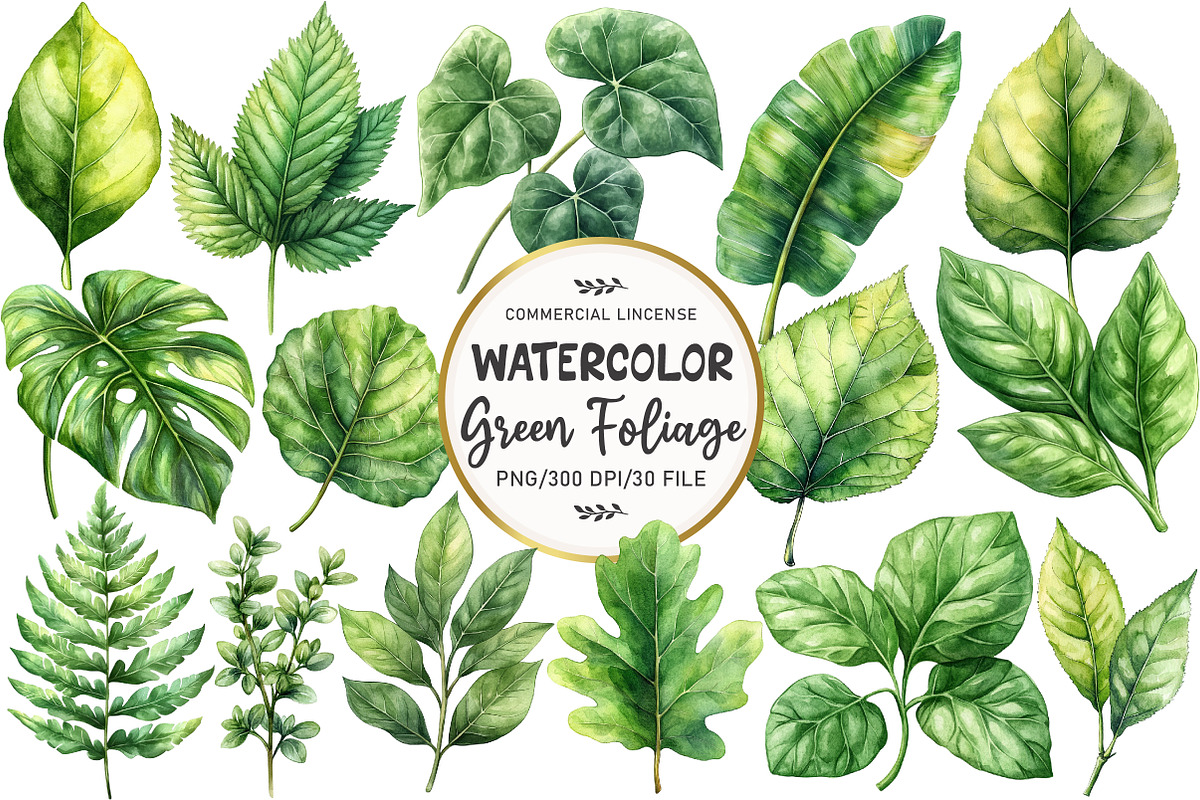 Green Summer Foliage Clipart, an Illustration by OK Design (Photo 1 of 5)