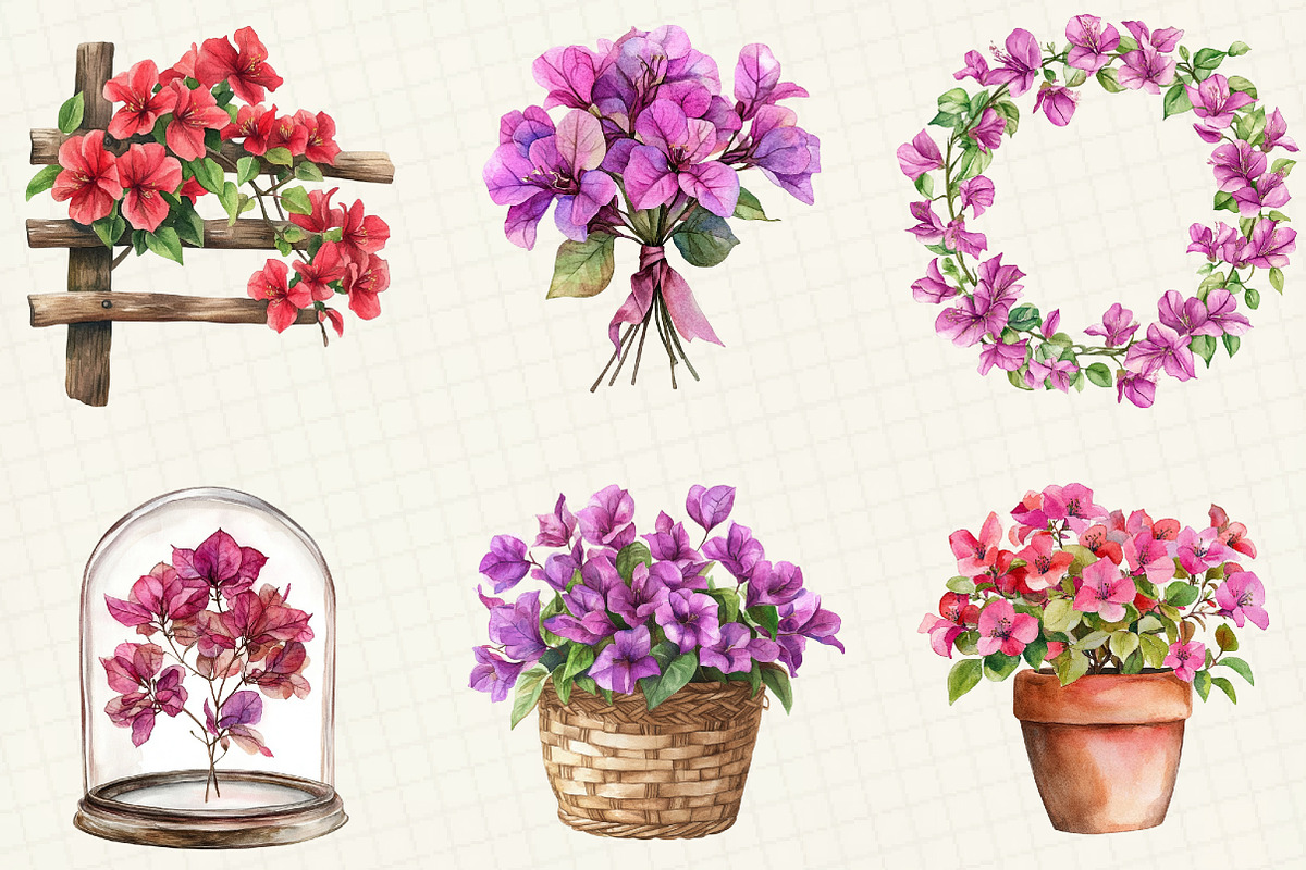 Bougainvillea Flower Clipart, an Illustration by OK Design (Photo 5 of 5)