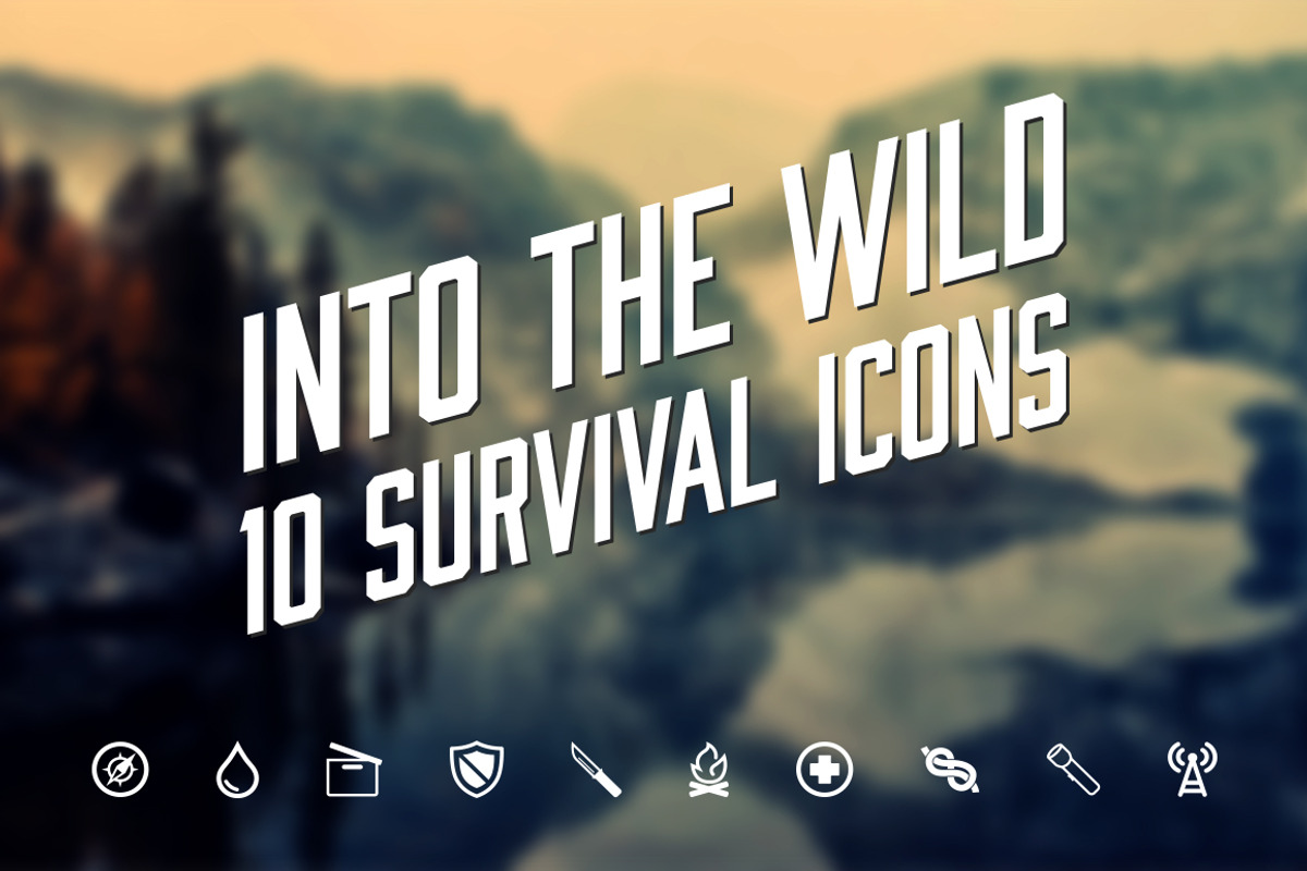 Survival Icons - 10, an Icon by The Warehouse (Photo 1 of 2)