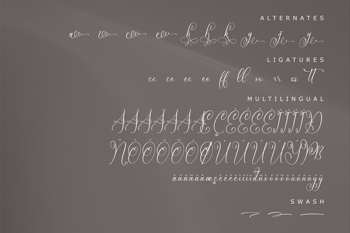 Mendikari Chic Calligraphy Font, a Script Font by Storytype Studio (Photo 14 of 14)