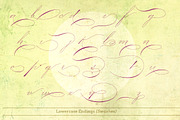 Mercy, a Script Font by Misprinted Type (Thumbnail 8 of 8)
