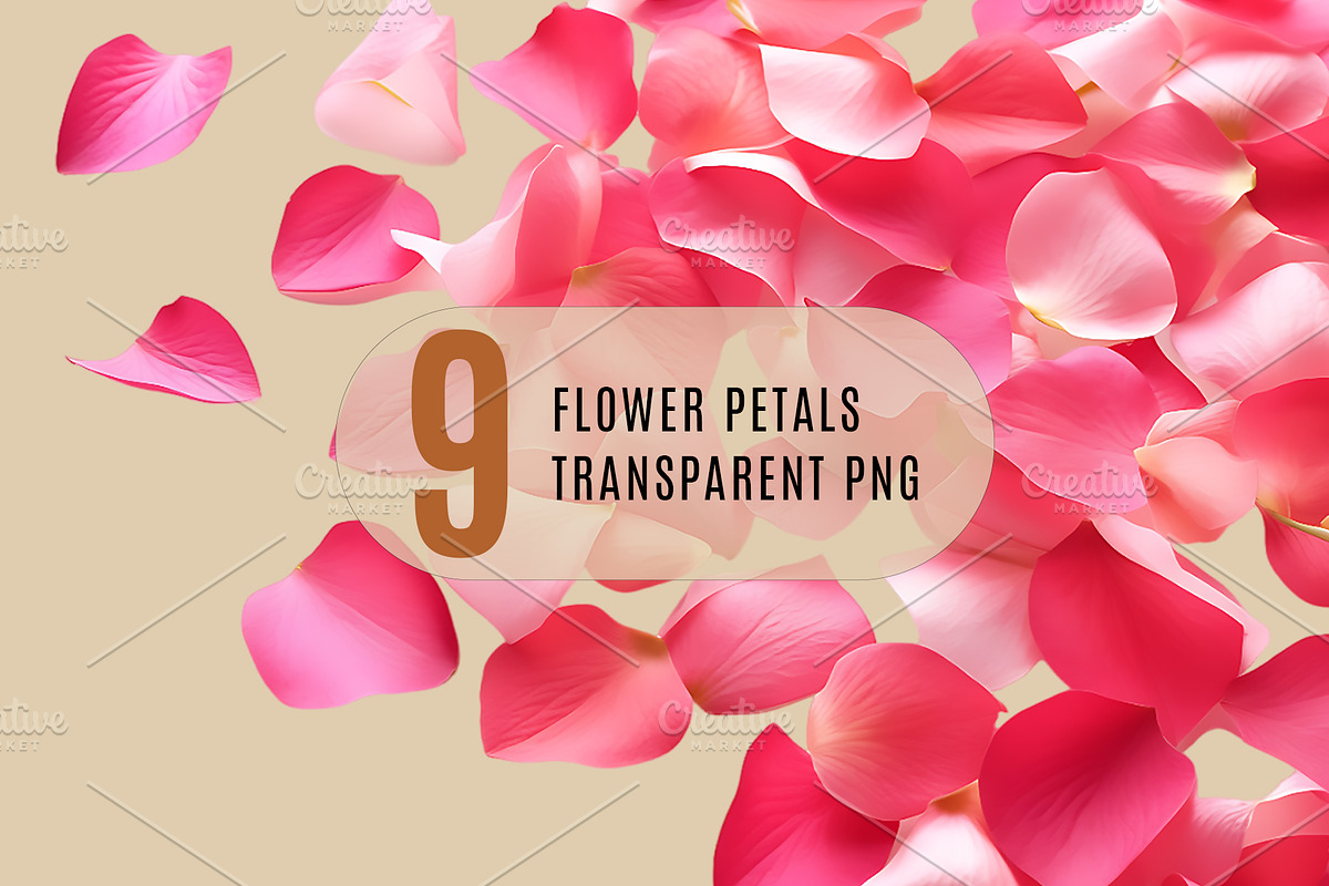 Flower petals transparent png, a Nature Photo by Shahjahangdb1 (Photo 1 of 10)