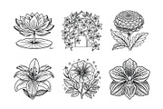 Elegant Plants and Flowers, an Icon by Vector Portal (Thumbnail 3 of 4)