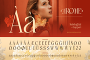 Arome, a Serif Font by Burntilldead (Thumbnail 11 of 12)