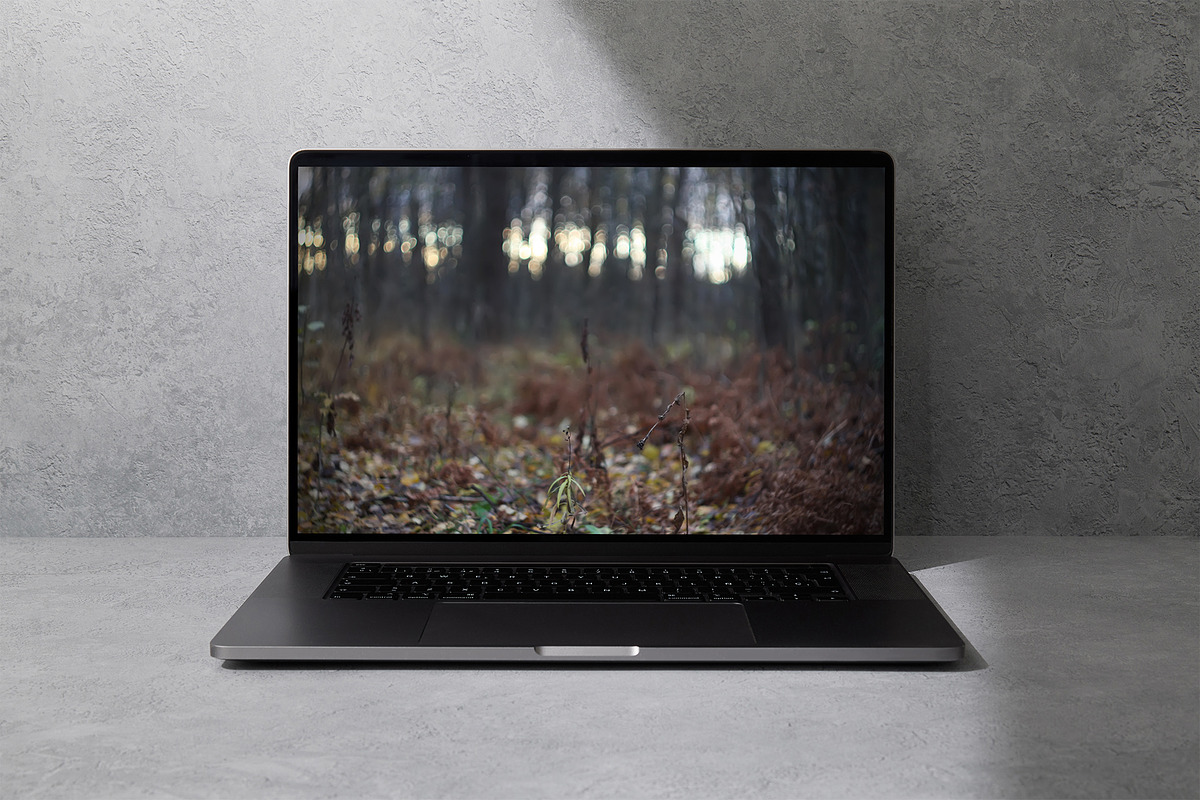 Autumn nature photography set, a Nature Photo by pictures for you (Photo 14 of 22)