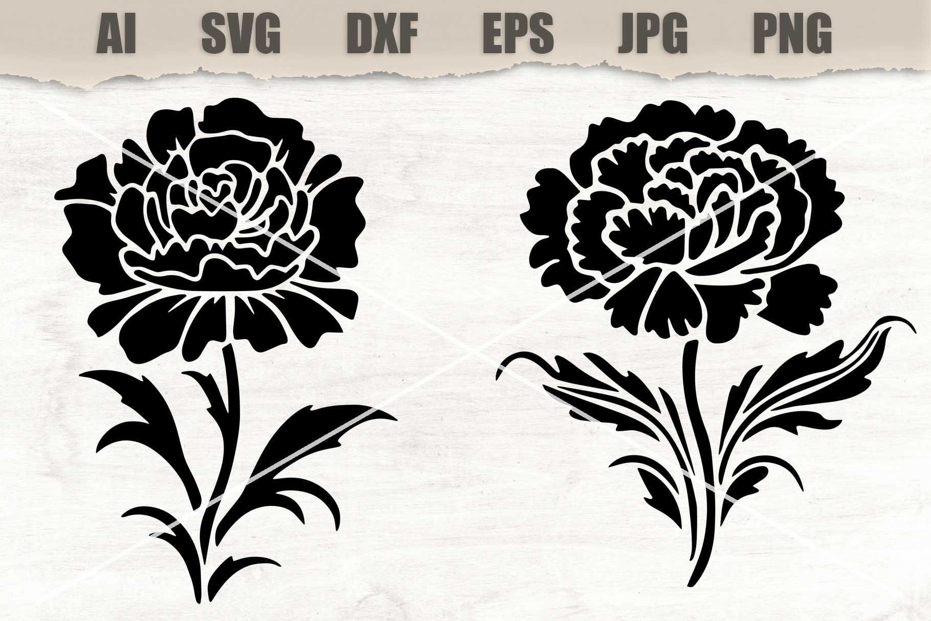 Stencils Carnation Flowers, an Object Illustration by MARYCRAFTIRIA
