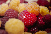 Blogger Bundle 135 Lightroom Presets, an Action Add-On by PhotoMarket (Thumbnail 51 of 94)