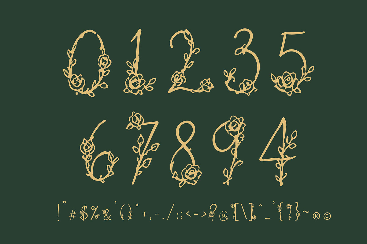 HoneiMoylavi, Delicate Floral Script, a Script Font by HypeWorksCo (Photo 19 of 19)