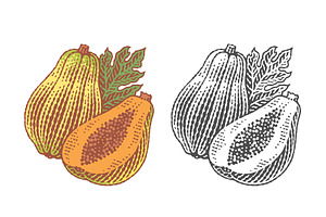Papaya, a Food Illustration by Irina Trusova