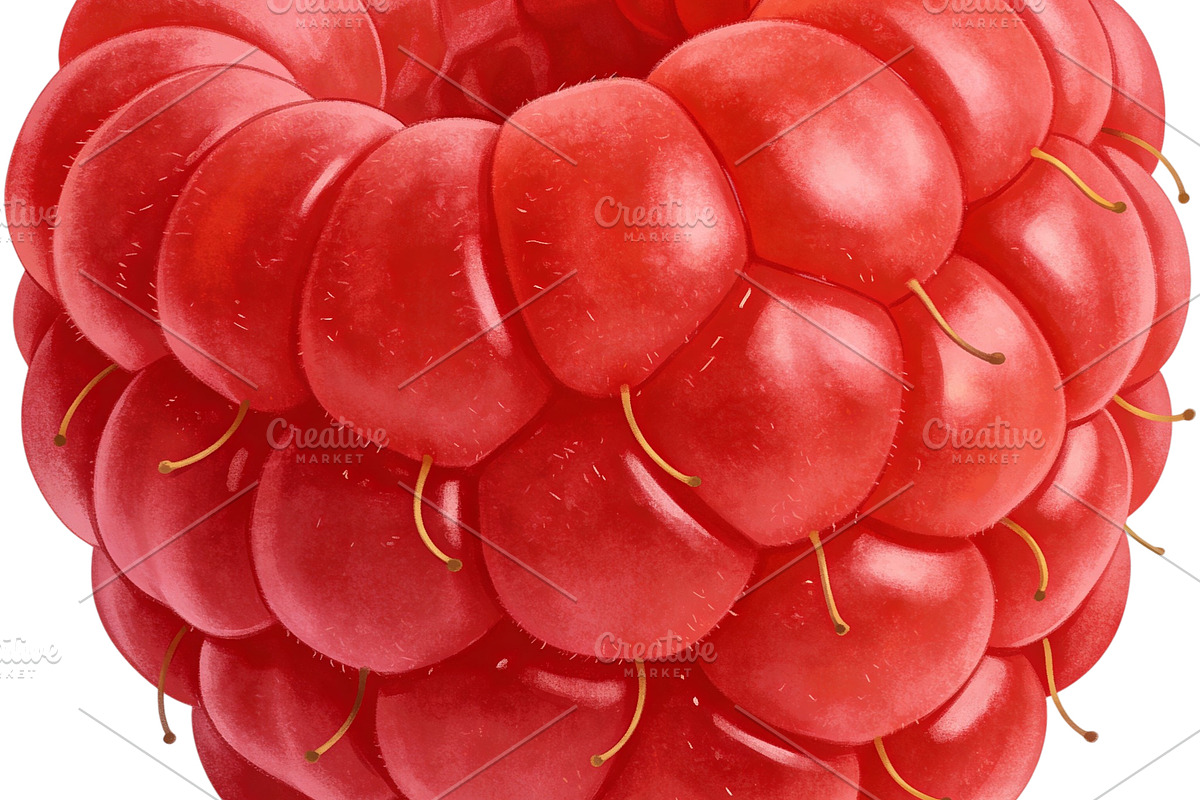 All Fruits Bundle Master Collection, a Food & Drink Photo by FlyeredTemplate (Photo 28 of 130)