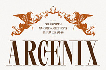 Arcenix - Serif Display Font