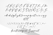 White Palmer - Organic Signature, a Script Font by Creavibes Design (Thumbnail 10 of 11)