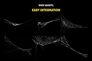 200+ Spider Web Overlays, a Nature Photo by Mikel Blazgad (Thumbnail 3 of 10)
