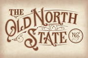 Stately Display Typeface, a Serif Font by Dandylyon Designs (Thumbnail 3 of 9)