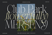 Effidhem Mevagen | 18 Font Files, a Serif Font by IM Studio (Thumbnail 7 of 14)