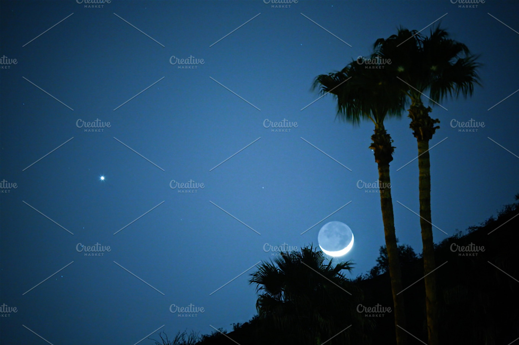 Luna and the Evening Star, a Nature Photo by Mr Geoff
