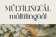 Bloom Haven - Beauty Branding Font, a Serif Font by Sohel Studio (Thumbnail 11 of 11)