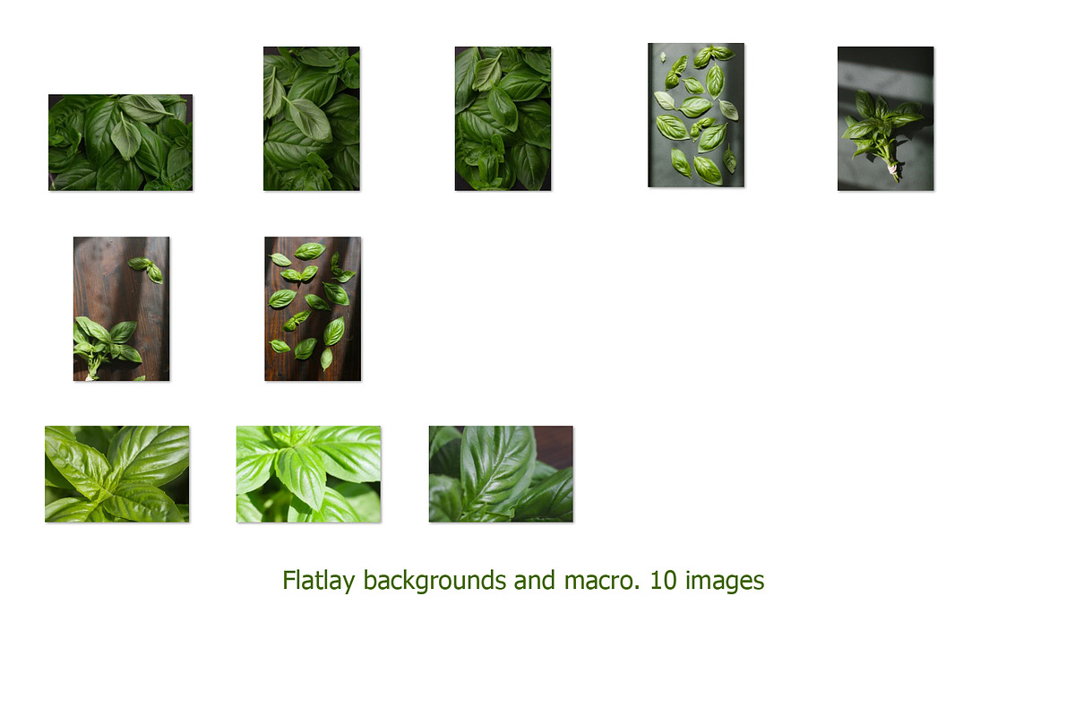 Basil. Isolated on a white., a Photo by Pullia (Photo 4 of 5)