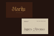 Damita Elegant Serif Display Font, a Serif Font by Perfectype (Thumbnail 3 of 8)