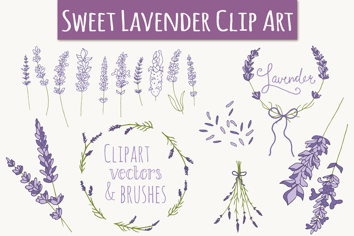 Lavender Clip Art & Vectors