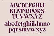 Bligk - Vintage Modern, a Serif Font by Khoir (Thumbnail 10 of 15)