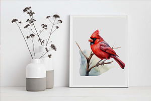 Red Cardinal PNG Christmas Bundle