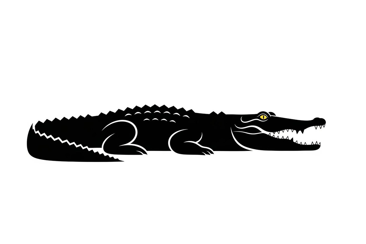 Crocodile Alligator Vector Bundle, an Illustration by jahid234 (Photo 21 of 51)