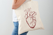 HEART Anatomical Art, a Graphic by Nastya Draws (Thumbnail 2 of 3)