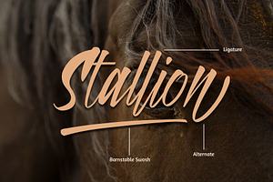 BARNSTABLE Hand Script Font